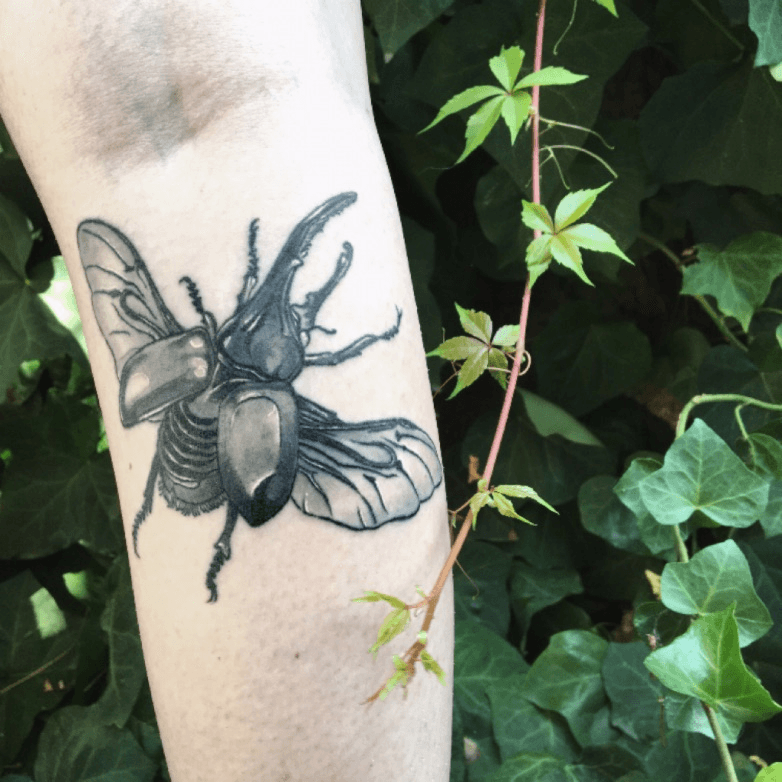 YuHsin on Twitter I tattooed my jewel rhino beetle This is the first  one Ive done where I was reluctant to throw it away because I love how it  turned out and