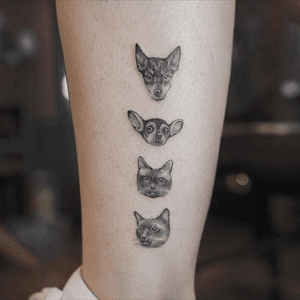 Delicate animal portrait tattoos via Instagram @nandotattooer #cute #delicate #animal #cat #dog #portrait #portraittattoo #blackwork #minimalistic 