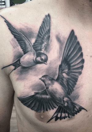 Done by Bram Koenen - Resident Artist.                         #tat #tatt #tattoo #tattoos #amazingtattoo #ink #inked #inkedup #amazingink #blackandgrey #blackandgreytattoo #blackandgreyrealism #bird #birds #chest #chesttattoo #tattoolovers #culemborg #netherlands