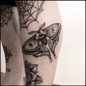 #black #moth #butterfly #tattoo #blackwork #totemica #ontheroad 