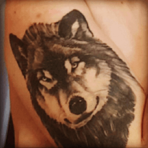 1st part to the black and grey wolf sleeve 
