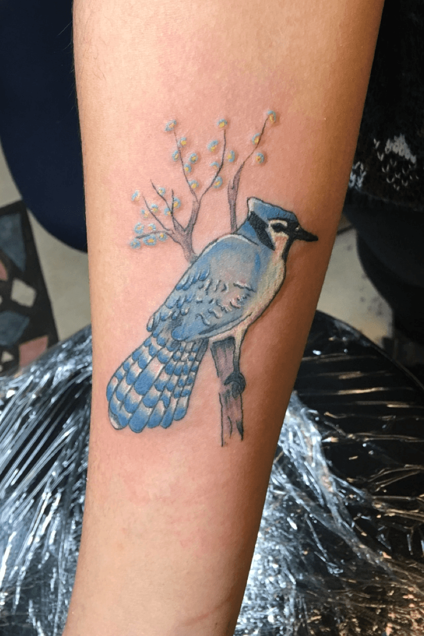 Blue Jay by Cecelia at Wonderland Tattoo in Portland OR  rtattoos