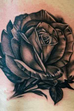Custom #blackandgray #blackandgrey #rose tattoo by Sean Ambrose at Arrows and Embers Tattoo. Thanks for looking!