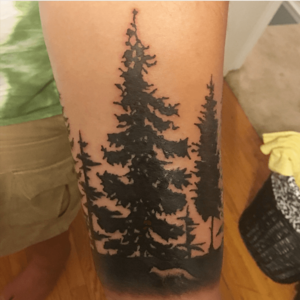 blue spruce tree tattoo