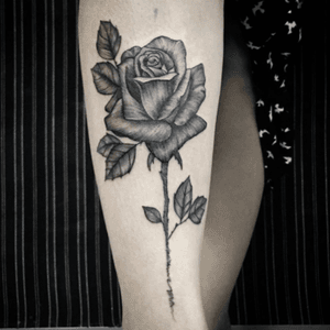 Rose 🌹🖤🌹 #rose #rosetattoo #blackrose #blackwork #rosa #tattoorosa #legtattoo #femaletattoo #tattoofeminina #tattoodo #brazil #TatuadorasDoBrasil #hachura #sexytattoo 