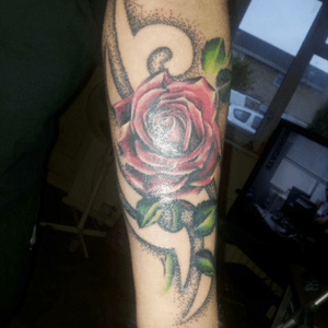 My partners rose and tribal tattoo done by the ever talented craig at adorned tattoo ashley cross dorset #rose #englishrose #tribal #dotwork #adorned #dorset #uk 