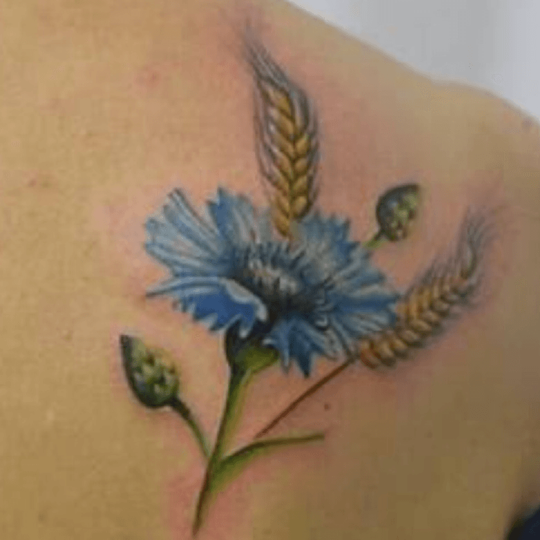 draketattoocornflowerandsunflowercornflowercornflowerbluebluearm tattoohealedtattootattoosforgirlsgirlswithtattoos freaksonbroadwaydraketattooryandrakecolorflowerryandraketattoo