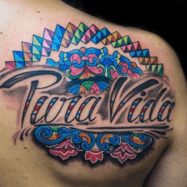 Pura Vida Lettering Translation From Spanish Pure Life Design For Greeting  Cards Posters Tshirts Banners Print Invitations Stock Illustration   Download Image Now  iStock