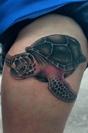 Sea turtle cover up