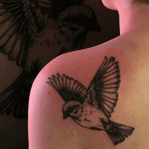 #tattoo #tattooed #ink #inked #blacklines #dots #art #tattooart #bird #girlytattoo #czechrepublic #pavluss
