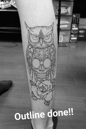 Outline of the first one of many