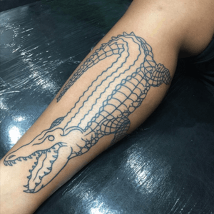 Custom Alligator •Amarican traditional •Fine line tattoo