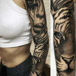 #sleeve #tiger #face #tattoo #blackwork #arm 