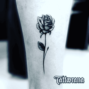 #tattoorana #alextakahashi #rosetattoo #blackandgrey 