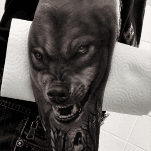 Another 1 from Pepic Studio, Belgrade. #arm#wolf#tattoo