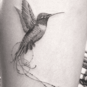 #bird #hummingbird #fineline 