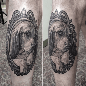 Basset hound portrait 