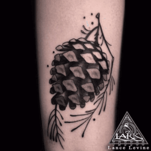 Black and gray pinecone nature tattoo by Lark Tattoo artist Lance Levine. #nature #blackandgrey #blackandgreytattoo #blackandgray #blackandgraynature #bng 