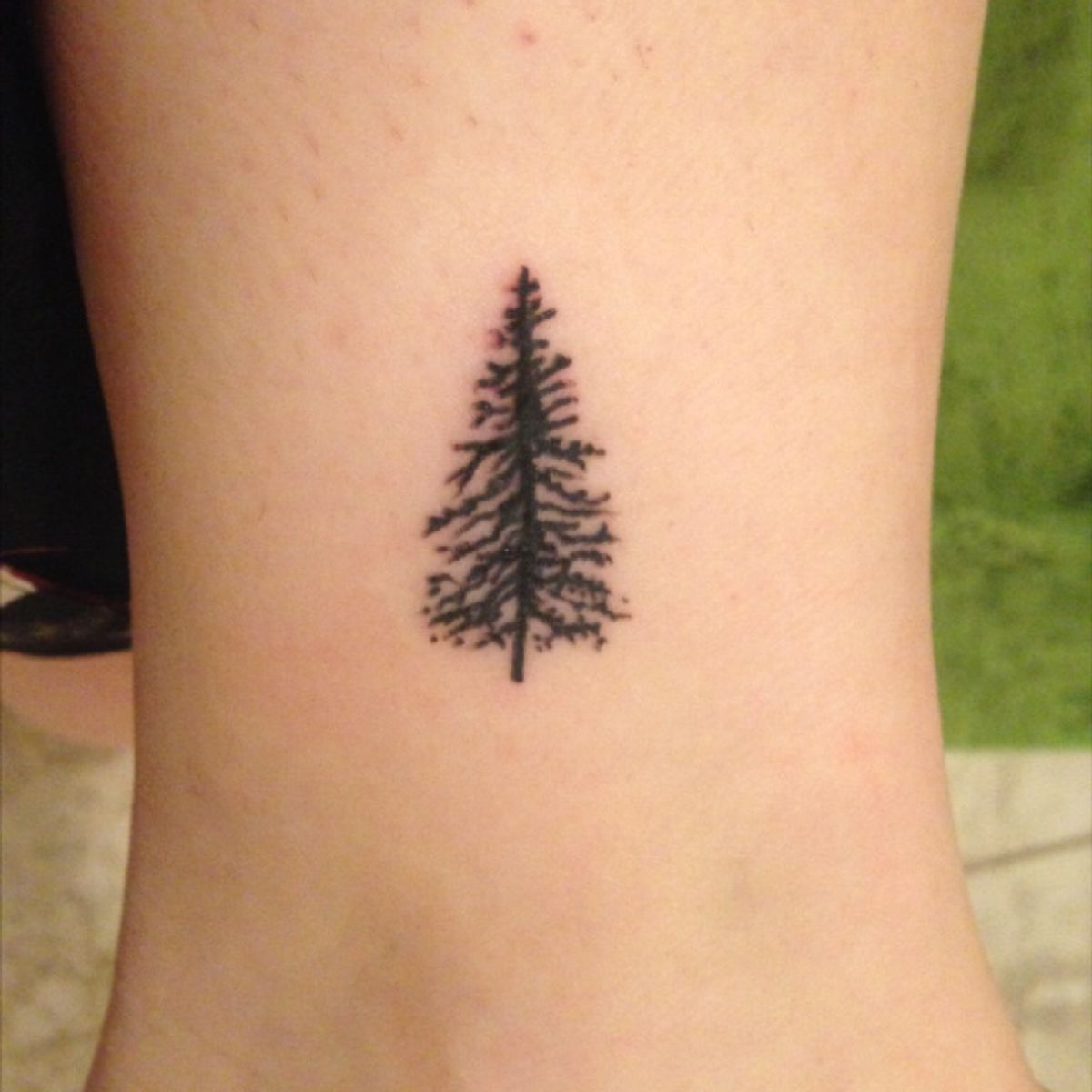 Tattoo uploaded by Sabrina Guzman Skotnitsky • Pine Tree by Kass at ...