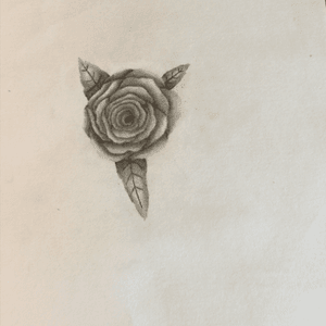 Quick little rose