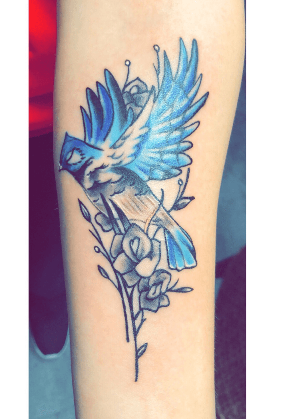 bluejay in Tattoos  Search in 13M Tattoos Now  Tattoodo