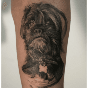 #dog #dogportrait #portrait #portraitartist #portraittattoo #blackandgrey #realistic #art #artistportrait 