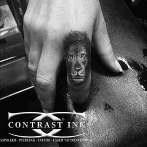 Lion tattoo by Arild Flatebø - Contrast Ink Tattoo in Norway. #welovegreatink #liontattoo #ink #tattoo #norway #tattoostudio #realistic #contrastinktattoo #tattoodoo 