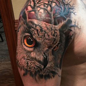 Rember_tattoos #owl #animals #bird #feathers #eyes #hyperrealism 