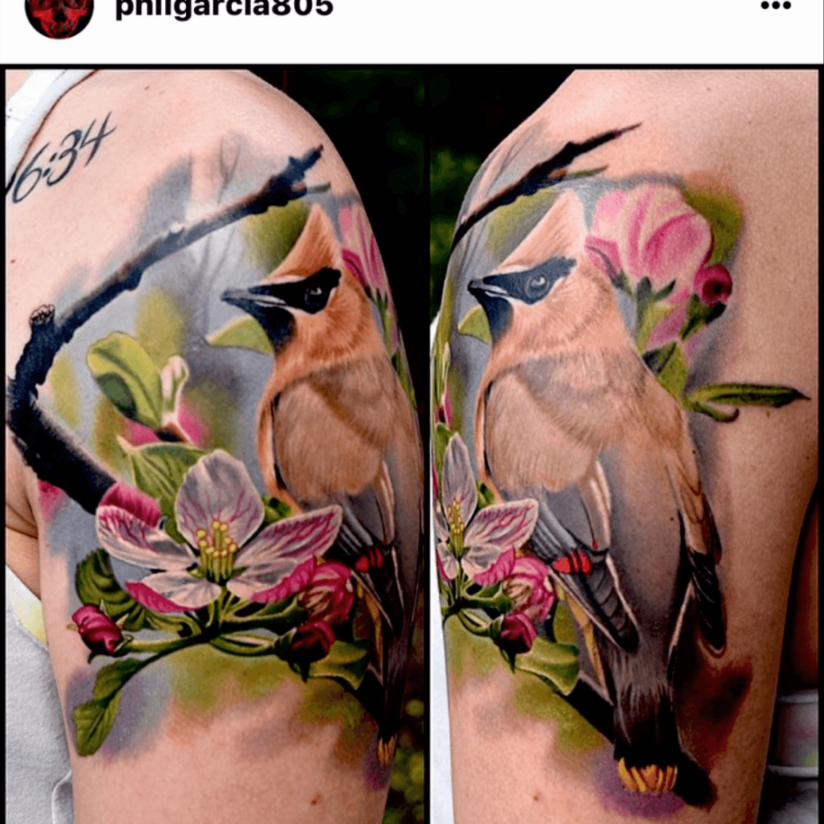 Cedar Waxwings made by jlagrimanta   Bitterroot Tattoo  Facebook