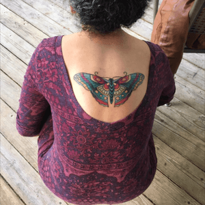 Dr. Dana at KC's Mercy seat did a sick job on my butterfly #butterflytattoo #butterfly #traditional #color 
