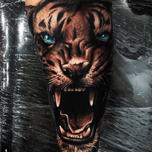 #Milkercordova#tiger #roar #eyes #animal 