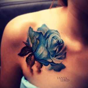 #rose #bluerose #flower 