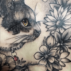#cat #flowers #floral #blackandgrey with a touch of colour in the #eye and #collar by unknow artist 