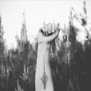 #tattoo #tattooart #tattoosimple #pine #trees #pinetree #nature #tattooman #simple #finelines #blackandwhite 