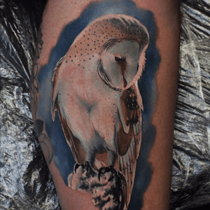 OWL #owl #owltattoo #colourtattoo #colourrealism #realism #realistic #nature #naturetattoo #animal #animaltattoo #radurusu #tattoo #sleevetattoo #tattoodo #color #colortattoo #colorrealism 