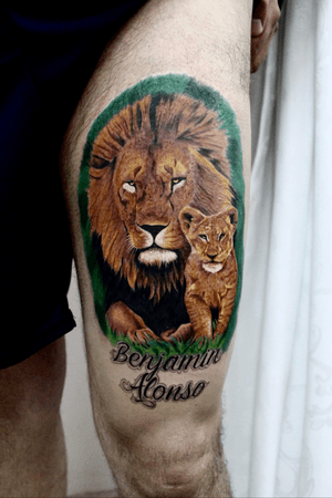 Lion realistic in full color