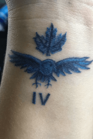 It the eagle of the canadien air force but it my grade 4 for the air cadet. It reprente me my 4 year in the cadet and one of my dead cadet 