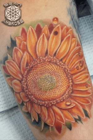 Custom #realistic #sunflower #dewdrops #colorful tattoo by Sean Ambrose at Arrows and Embers Tattoo in Concord, NH. Thanks for looking! #tattoooftheday