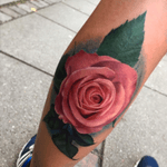 #rose i did #colorrose #tatto #colorrealism #colorrealismo #colorrealistic  #like4follow #like 