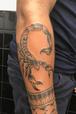 Scorpion tatty# london # camden 