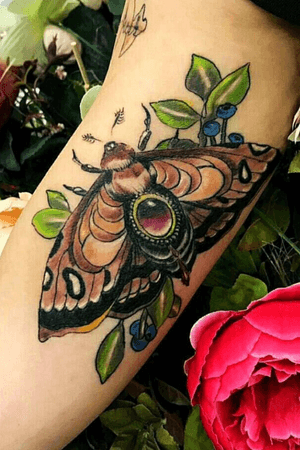 By @lida_lik #moth #insect #jewel #wings #innerarm #colour 