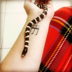#tattoo #music #musictattoo #snake #firsttattoo 