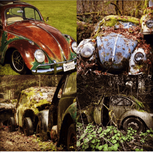 This is the idea behind the tattoo I want soo badly. An abandoned broken vw bettle in over grown wooded area. There isnt a tattoo i could find like this luckily. The meaning for it is "one sees something of no use broken or trash as another can see the beauty and potential" #megandeamtattoo #VWLOVE 