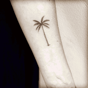 By Daniel WinterIG: winter_stone#singleneedletattoo #singleneedle #tattoo #la #fineline #palmtree 