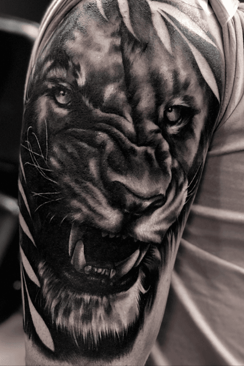 #lion #cat #angry #tattoooftheday #realism #blackandgrey #liontattoo 