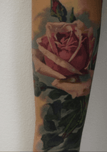 #coverup #rose #color #arm #ink #tattoo #tattoos #tattooed #tattooart #inked #inkedup #tattooartist #tats #blackandgreytattoo #realistic #realism #realistictattoo