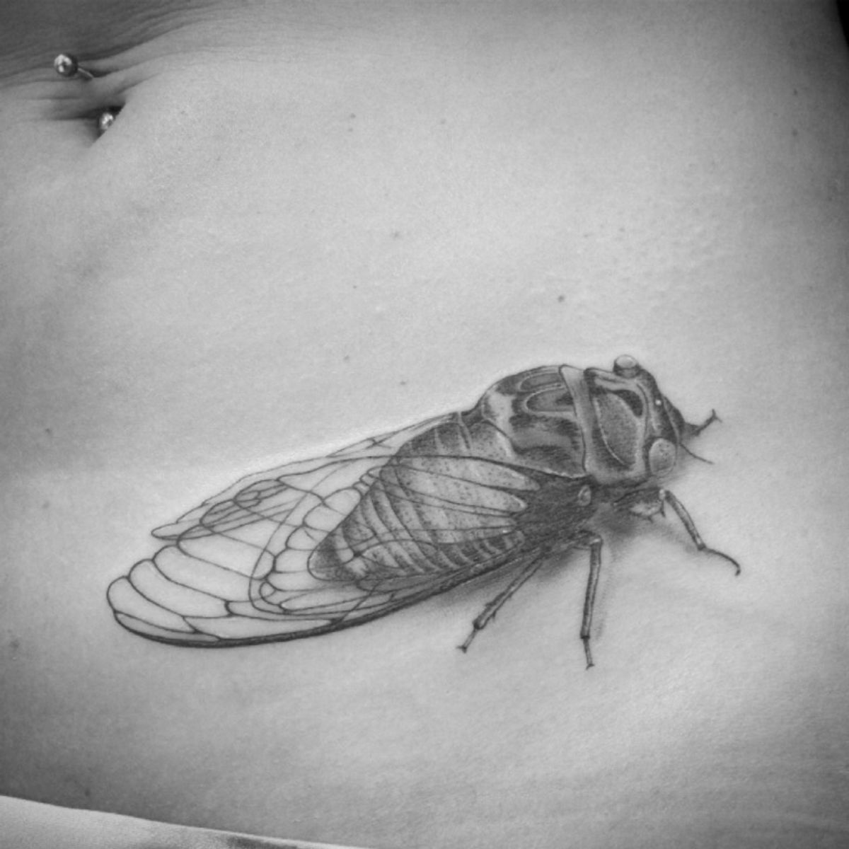 Tattoo uploaded by Fanny • tattoo cicada cicadatattoo cigale 