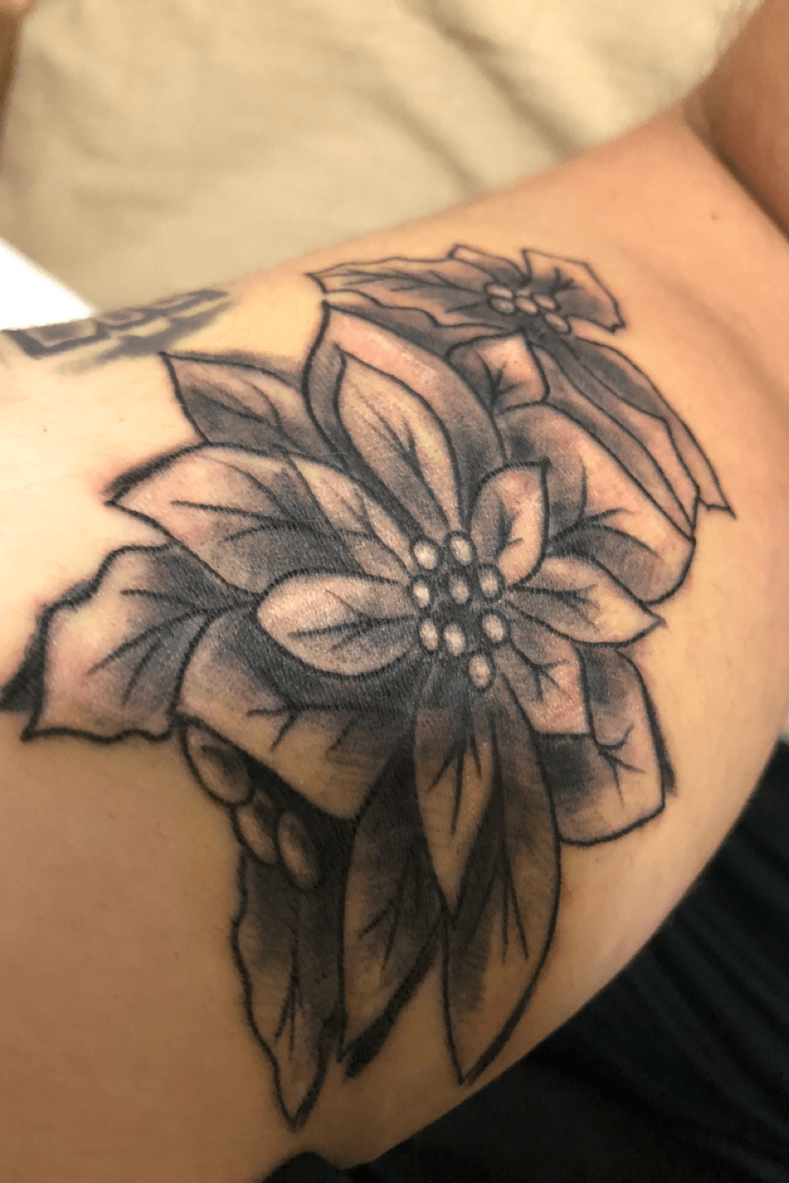Poinsettia  Marigold October Flower Tattoo HD Png Download  vhv