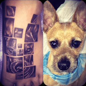 My #dogportrait #puzzlepiece #tattoo #foottattoo #TattooGirl 