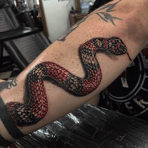 My pet snake and now favorite tattoo done by Michael Coman in Warren, Ohio #snake #forearm #realism #kingsnake #colorful #Tattoodo 
